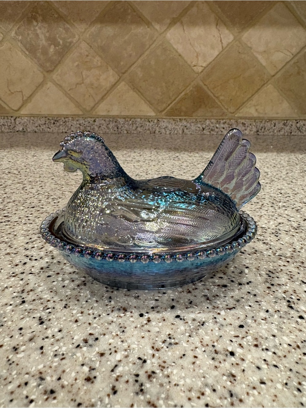 Dark iridescent Chicken On Nest